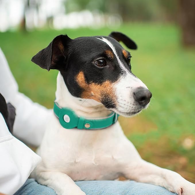 OOPSDOGGY Reflective Geniune Leather Airtag Dog Collar Soft Padded Collars for Small Medium Large Breed Dogs Puppy, 4 Sizes, 7 Colors (Teal, Small, 9"-12")-Mewly Pet