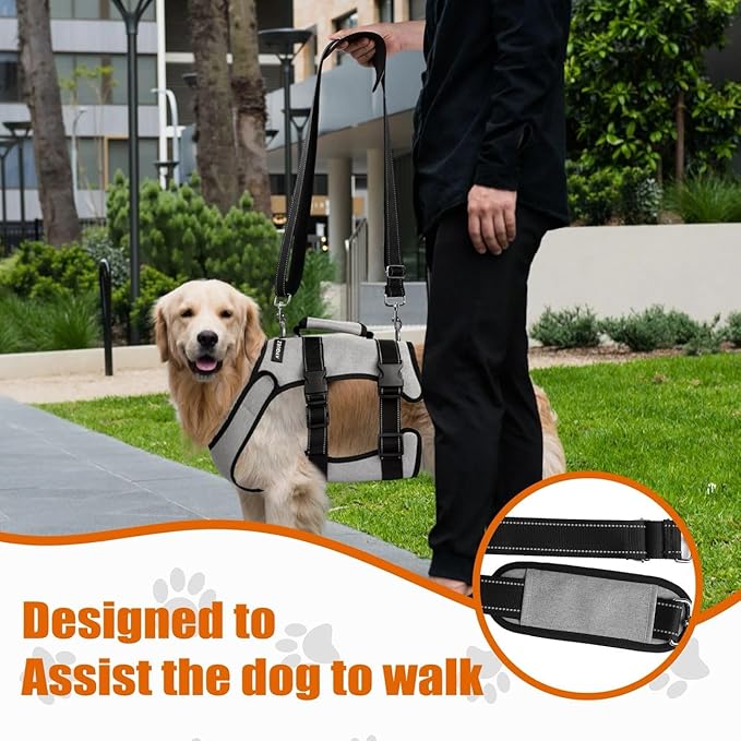 Ayquez Dog Lift Harness with Storage and Transport Bag, Dog Harness with Handle for Lifting & Hip dysplasia, arnés para Perros pequeños, pechera para Perros Gray, S-Mewly Pet