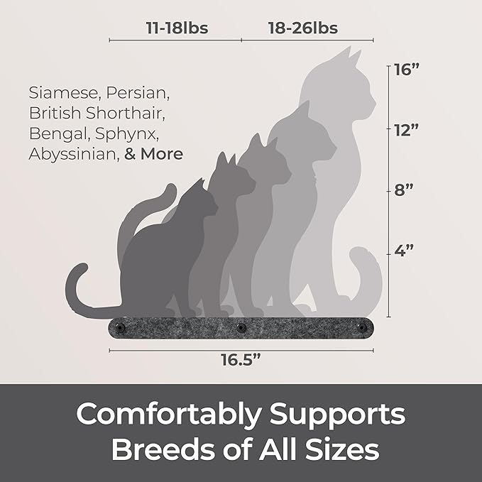 Wall Mounted Cat Perch Long Shelf by Pryde Pets - Floating Hammock Bed, 100% Sustainable PET Felt Feline Enrichment Climber Furniture for Indoor Cats, Modern Climbing Gym Jungle Design (Charcoal)-Mewly Pet