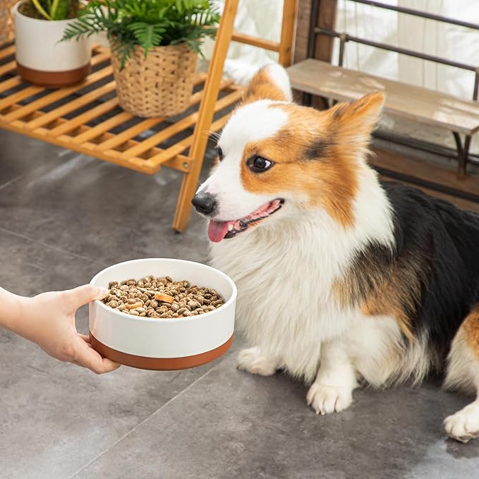 MALACASA Dog Bowls, Ceramic Dog Food and Water Bowls for Medium Size Dogs, 3.5 Cups Capacity Pet Bowl for Medium Dogs (M-3.5 Cups)-Mewly Pet