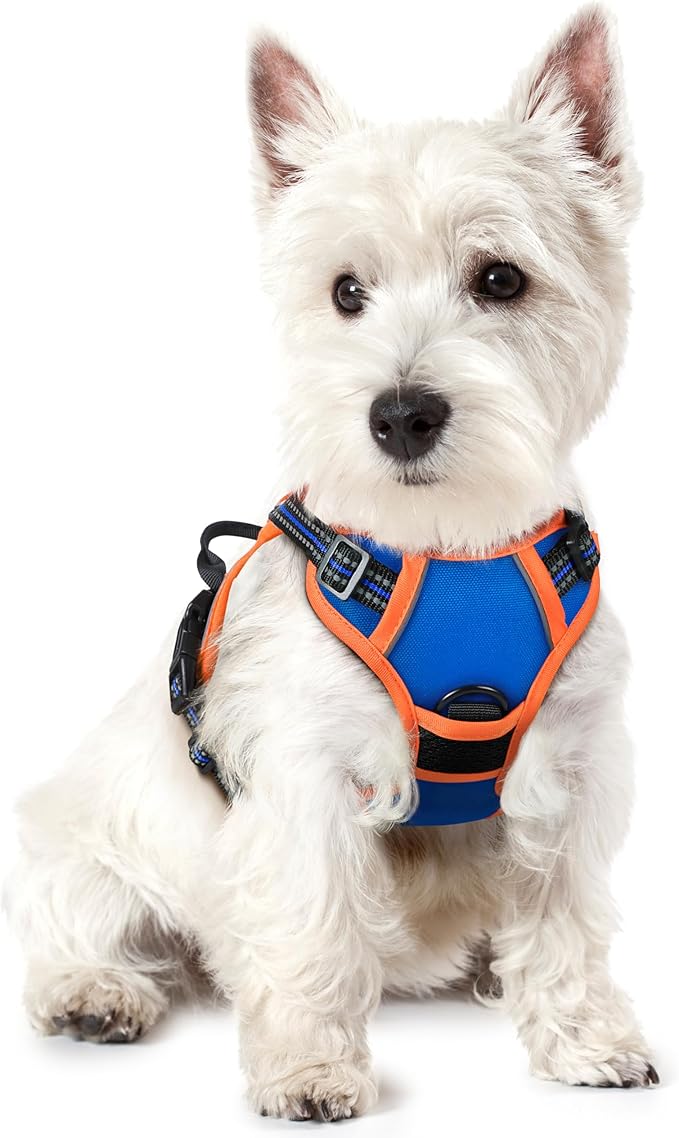rabbitgoo Dog Harness No Pull with 2 Leash Clips, Adjustable Soft Padded, Reflective Oxford No Choke Pet Vest with Easy Control Handle for Puppy, Blue & Orange, XS-Mewly Pet