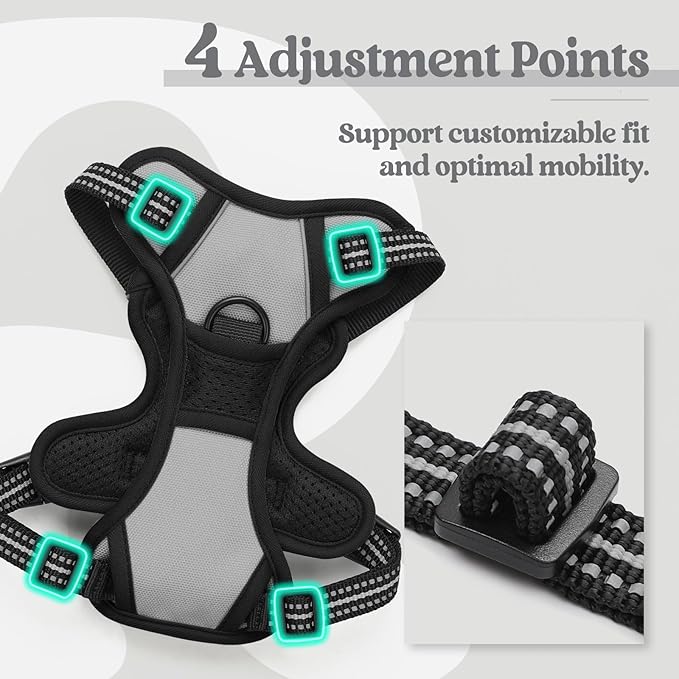 rabbitgoo Dog Harness No Pull with 2 Leash Clips, Adjustable Soft Padded, Reflective Oxford No Choke Pet Vest with Easy Control Handle for Puppy, Grey, XS-Mewly Pet