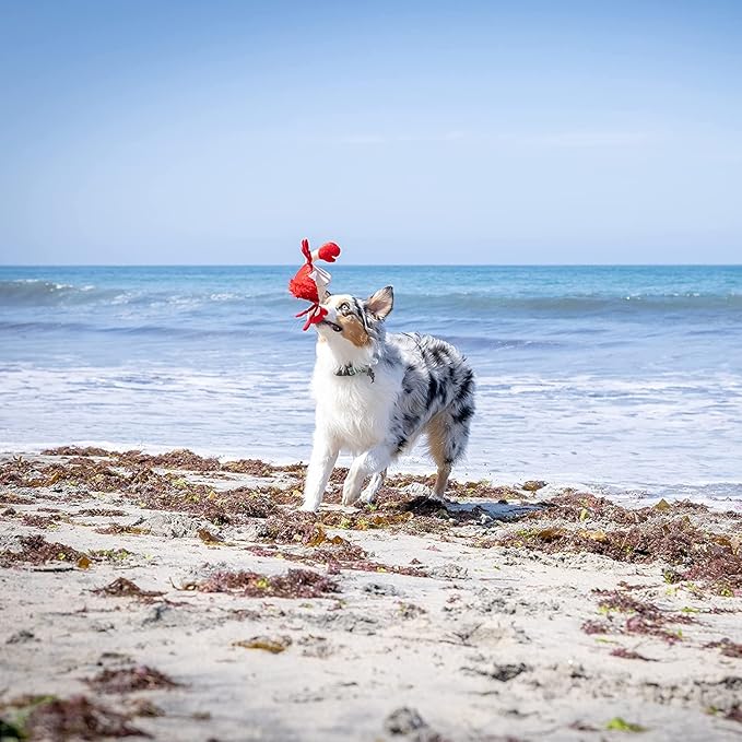 Hyper Pet Doggie Pal Interactive Dog Toys (Dog Toy that Wiggles, Vibrates, and Barks Plush Toys for Boredom and Stimulating Play)-Mewly Pet