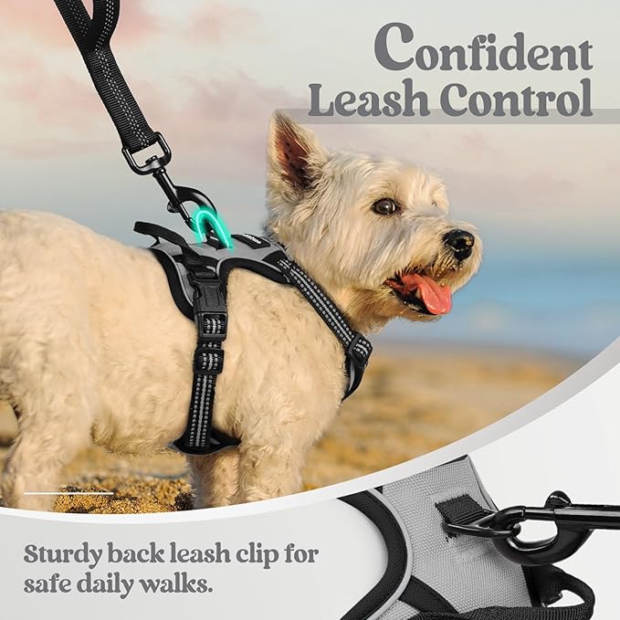 rabbitgoo Dog Harness No Pull with 2 Leash Clips, Adjustable Soft Padded, Reflective Oxford No Choke Pet Vest with Easy Control Handle for Puppy, Grey, XS-Mewly Pet