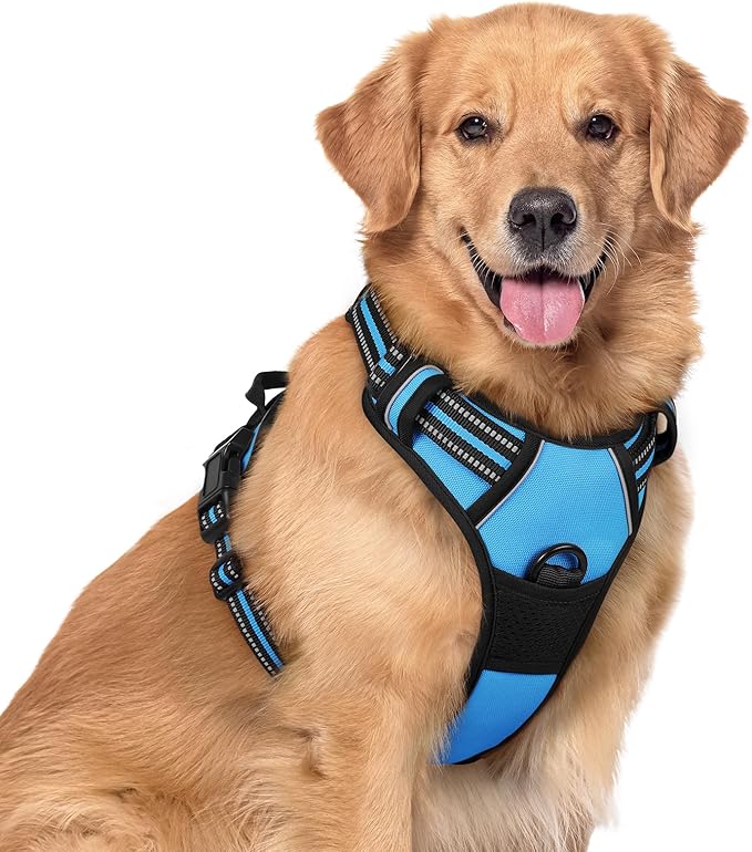 rabbitgoo Dog Harness No Pull with 2 Leash Clips, Adjustable Soft Padded, Reflective Oxford No Choke Pet Vest with Easy Control Handle for Large Dogs, Blue, XL-Mewly Pet