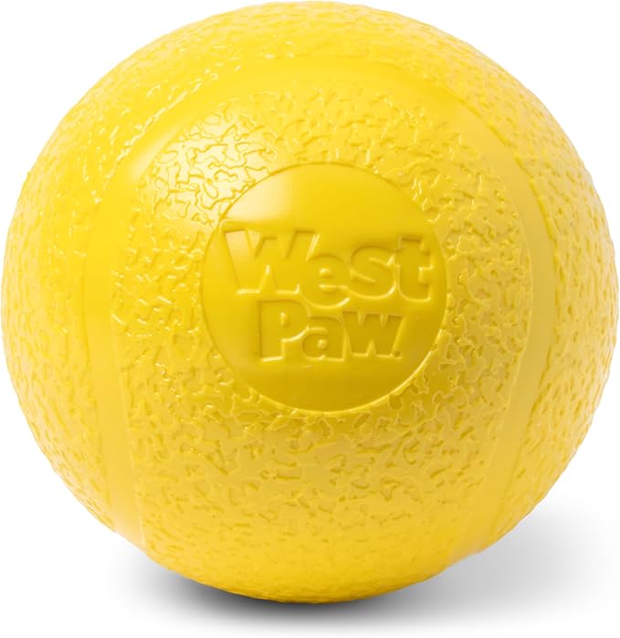 WEST PAW Boundr Ball Dog Fetch Toy – Bouncing Toys for Dogs, Fetch, Catch, Chewing, Play – Floatable, Recyclable Balls – Large Dandelion Yellow-Mewly Pet