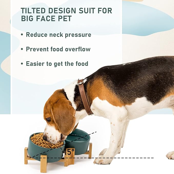 SPUNKYJUNKY 15° Slanted Ceramic Dog and Cat Bowl with Wooden Stand, Tilted Bulldog Food and Water Bowl No Slip Non-Spill for Cats Medium Dogs Big Face Pets 28.7 OZ (3.6 Cups, Green × 2)-Mewly Pet