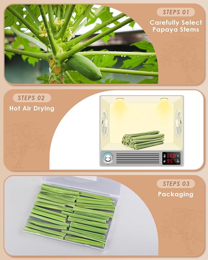 Bissap 25 PCS Guinea Pigs Chew Sticks, Natural Papaya Stems Bunny Chews Treats for Hamsters Chinchillas Small Animals Organic Molar Chewing Snack-Mewly Pet