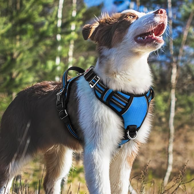 rabbitgoo Dog Harness Medium Sized, No Pull Dog Vest with 3 Buckles, Adjustable Soft Padded Pet Harness with Easy Control Handle and Reflective Strips, Blue, M-Mewly Pet
