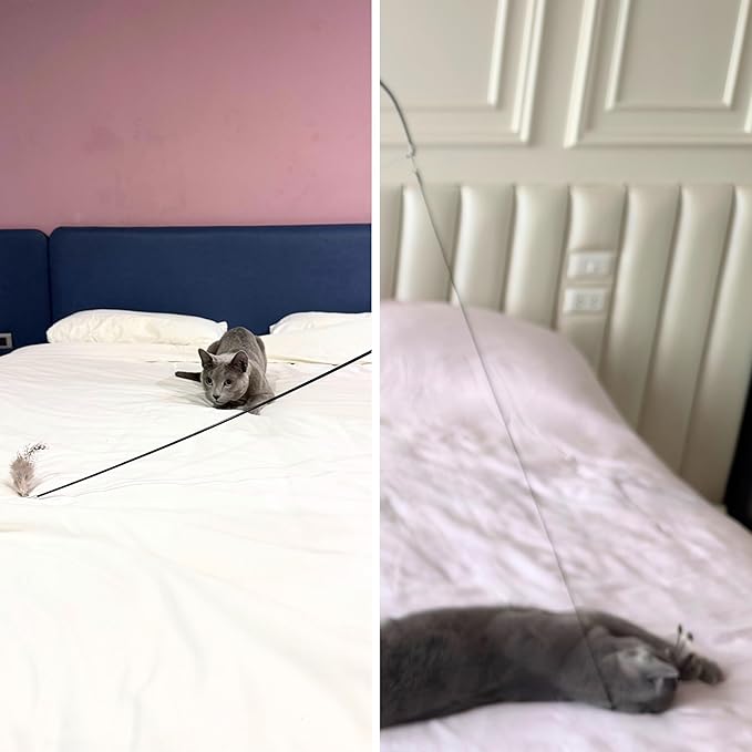 Feather Toys Replacements (3 Pc) - Cat Toys & Kitten Toys for Indoor Kittens, Set of Replacement Feather Attachments Extra Small and Durable, for Cat Wands, Natural and Safe-Mewly Pet