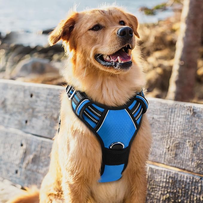 rabbitgoo Dog Harness for Large Dogs, No Pull Pet Vest with 3 Buckles, Adjustable Soft Padded Pet Harness with Easy Control Handle and Reflective Strips, Blue, XL-Mewly Pet