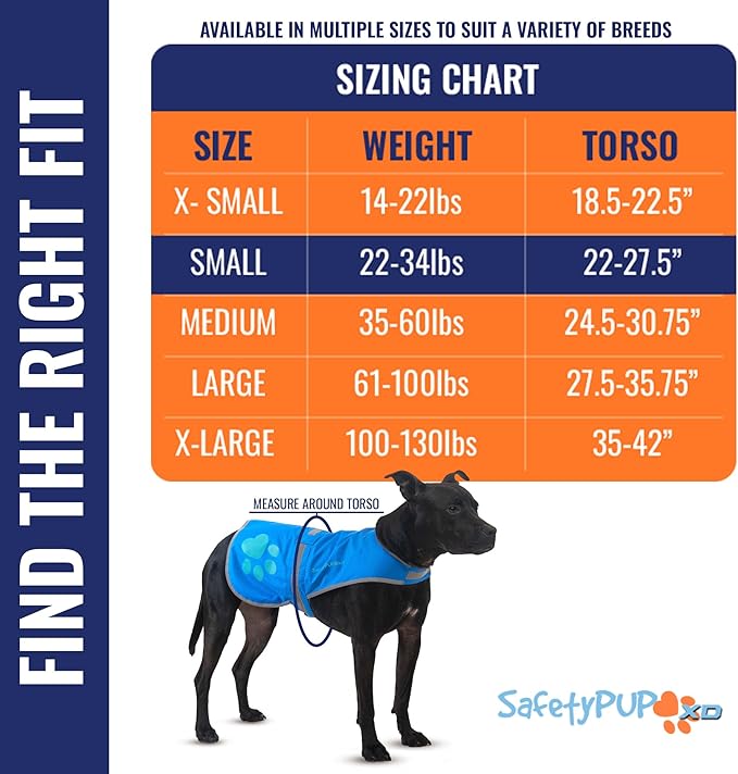 Dog Reflective Vest – Hi-Vis Fluorescent Visibility That Helps to Safeguard Your Pet On/Off Leash in Urban & Rural Areas (Blue, Small)-Mewly Pet