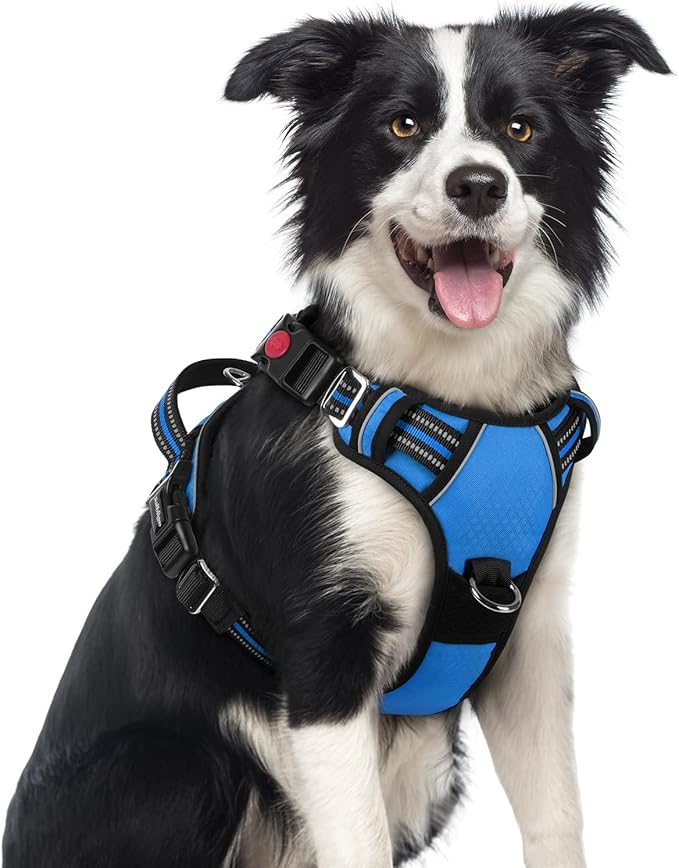 rabbitgoo Dog Harness Medium Sized, No Pull Dog Vest with 3 Buckles, Adjustable Soft Padded Pet Harness with Easy Control Handle and Reflective Strips, Blue, M-Mewly Pet