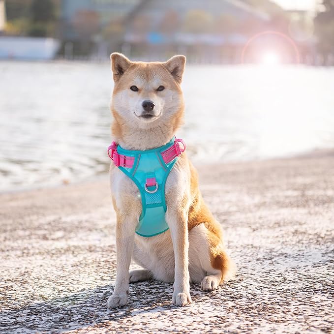 PHOEPET No Pull Dog Harness, Unique Colors Reflective Adjustable Dog Vest, with Soft Training Handle Metal Clips for Small Medium Large Dogs (Mint Green Base & Pink Straps,XL)-Mewly Pet