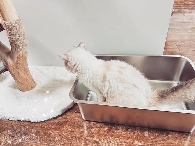 IKITCHEN Stainless Steel Cat Litter Box, Large Metal Litter Box for Cats, Never Absorbs Odors,Stain Free, Rustproof, Non Stick Smooth Surface, Anti-Slip Rubber Bottom, 19.5" L x 13.5" W x 6" H-Mewly Pet