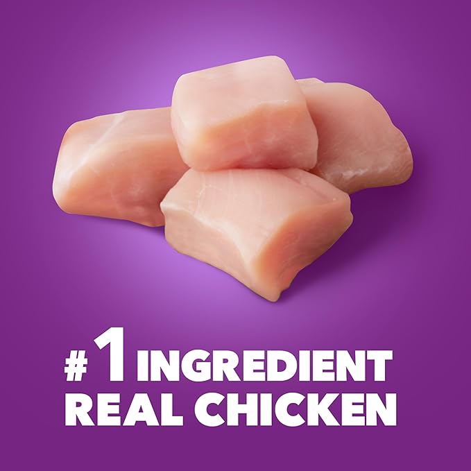 IAMS Advanced Health Skin & Coat Adult Dry Dog Food Chicken and Salmon Recipe, 36 lb. Bag-Mewly Pet