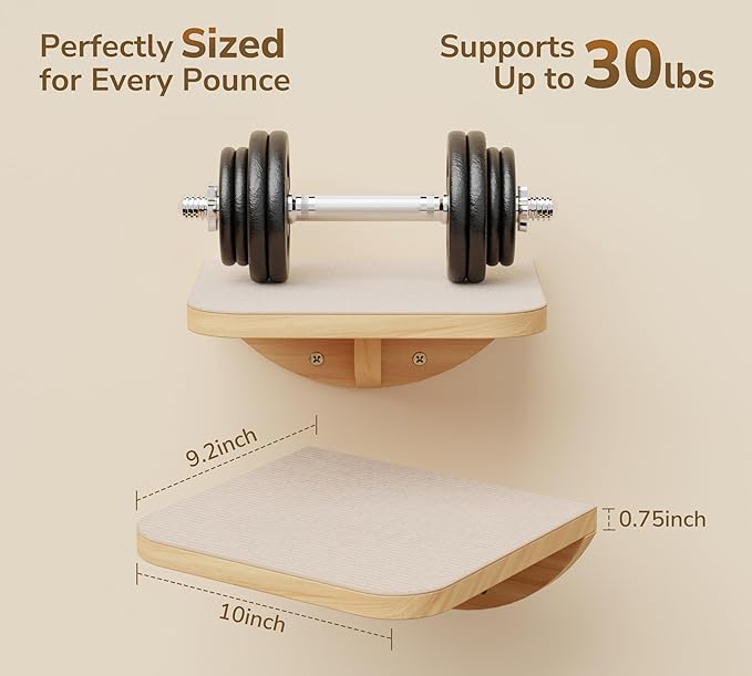 Cat Window Perches, Curved Cat Wall Beige Bed and 2 Floating Wall Steps, Wall Mounted Climbing Shelves for Sleeping, Playing, and Lounging-Mewly Pet