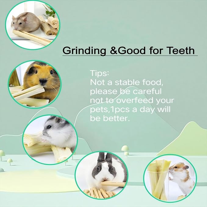 700g/1.5lb Sweet Bamboo Sticks for Rabbits Bunny Chew Toys,Chinchilla Molar Treats Chew Sticks for Small Animals Rabbits Hamsters Guinea Pigs-Mewly Pet