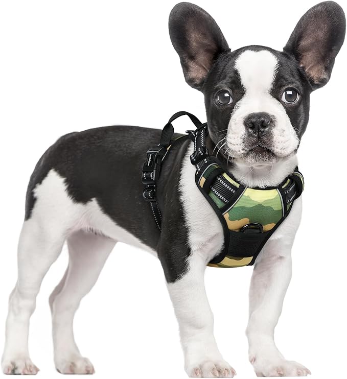 rabbitgoo Dog Harness No Pull with 2 Leash Clips, Adjustable Soft Padded, Reflective Oxford No Choke Pet Vest with Easy Control Handle for Large Dogs, Green Mountain,S-Mewly Pet