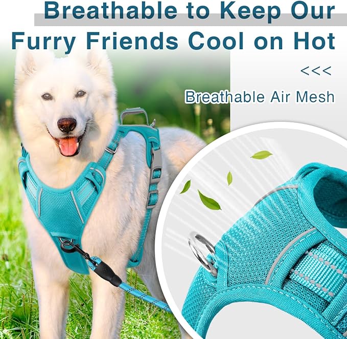 BARKBAY Dog Harness No Pull with ID Tag Pocket - Heavy Duty, Reflective, Easy Control for Large Dogs(Ocean Blue,XL)-Mewly Pet