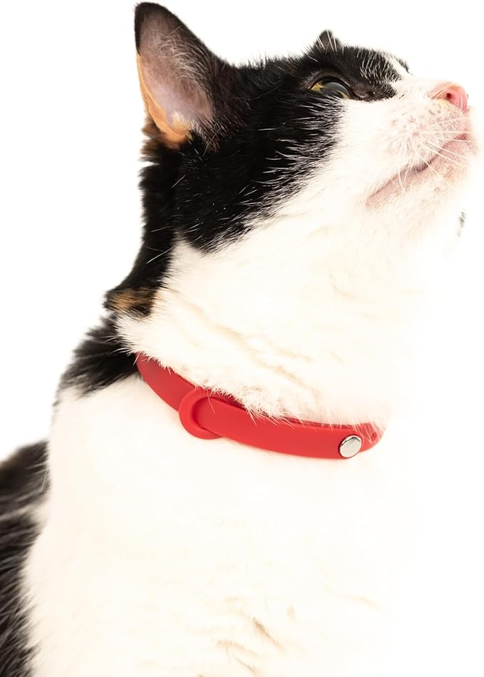 Cat Collar 2 Pack - Soft, Comfortable, and Lightweight Safety Breakaway Collar with Name Tag Ring for Outdoor Cats and Sensitive Skin Kittens by Nuvuq (6 ⅞" to 10 ¼", Red)-Mewly Pet