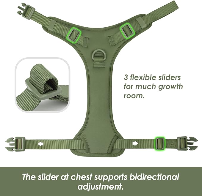 No Pull Dog Harness, Puppy Vest with Front Clip for Small Medium Large Sized Dog (Misty Green,S)-Mewly Pet