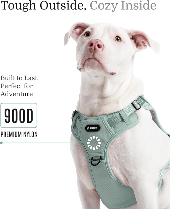 2025 New Edition, Fei & Eve MagEase Dog Harness - 3-Second Magnetic Buckles | 3-Point No-Pull Control | Heavy-Duty 900D Nylon | Dual Safety Handles | Breathable Mesh | Adjustable Fit | Medium, Green-Mewly Pet