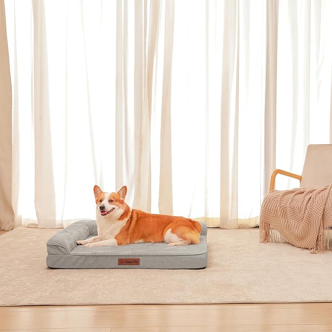 Orthopedic Dog Beds Large Sized Dog, 3 Inch Memory Foam Pet Bed for Medium and Large Dogs, Washable Removable Cover, Nonskid Bottom, Waterproof, 36x27 Inches L Light Grey-Mewly Pet