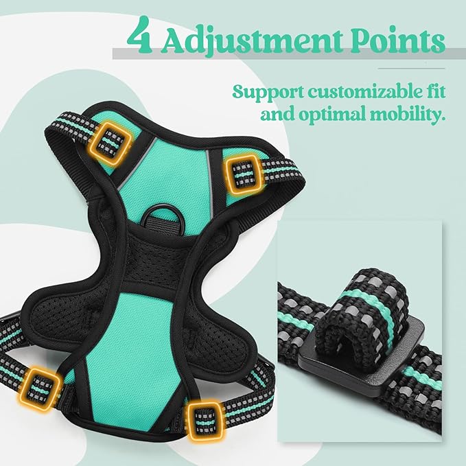 rabbitgoo Dog Harness No Pull with 2 Leash Clips, Adjustable Soft Padded, Reflective Oxford No Choke Pet Vest with Easy Control Handle for Puppy, Turquoise, XS-Mewly Pet