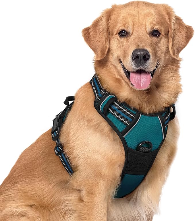 rabbitgoo Dog Harness No Pull with 2 Leash Clips, Adjustable Soft Padded, Reflective Oxford No Choke Pet Vest with Easy Control Handle for Large Dogs, Blue Coral, XL-Mewly Pet