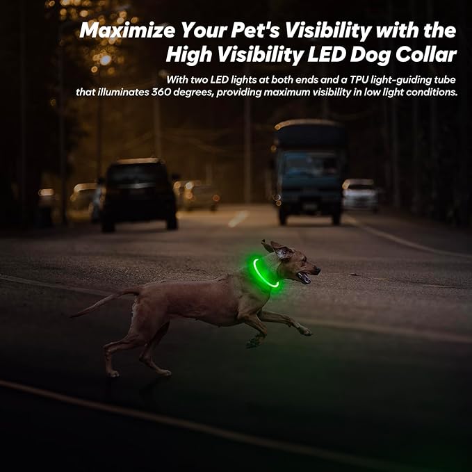 BSEEN Light Up Dog Collar - LED Dog Collar Rechargeable, Glowing Pet Collars for Small Medium Large Dogs, TPU Cuttable Lighted Puppy Collar, Safety Dog Lights for Night Walking (Green 70cm)-Mewly Pet