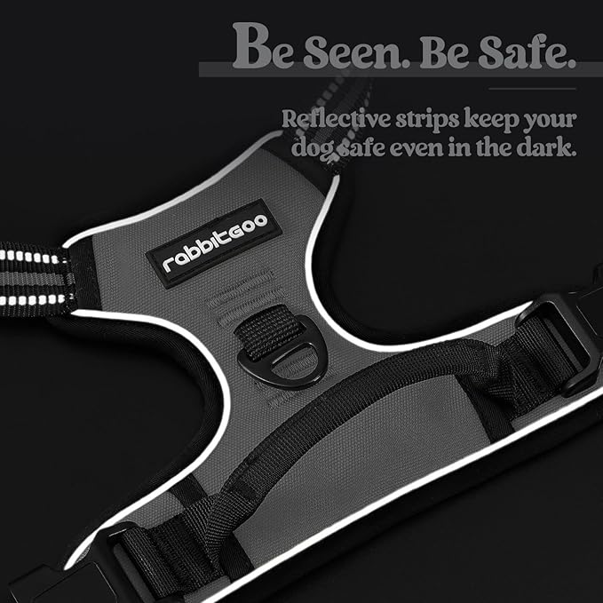 rabbitgoo Dog Harness No Pull with 2 Leash Clips, Adjustable Soft Padded, Reflective Oxford No Choke Pet Vest with Easy Control Handle for Medium Sized Dogs, Grey, M-Mewly Pet