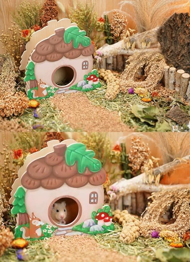Natural Hamster Bedding - Flowers, Herbs, Sprays, Treat Cereal Grain for Cage Habitat Enclosure Decor - Hamster Chews for Dwarf Syrian Gerbils, Mice, Rat Forage - Pet Accessories-Mewly Pet