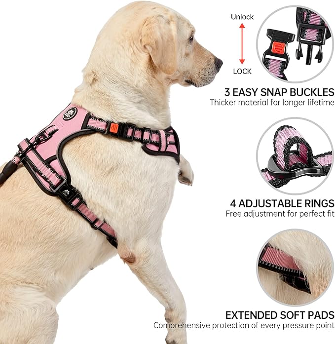 NESTROAD No Pull Dog Harness,Adjustable Oxford Dog Vest Harness with Leash,Reflective No-Choke Pet Harness with Easy Control Soft Handle for Small Dogs(Small,Pink)-Mewly Pet