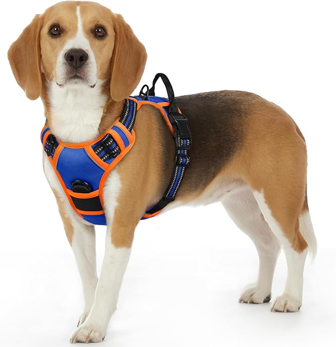 Eagloo Dog Harness Small Sized Dog, No Pull Service Vest with Reflective Strips and Control Handle, Adjustable and Comfortable for Walking, No Choke Pet Harness with 2 Metal Rings, Blue & Orange, S-Mewly Pet