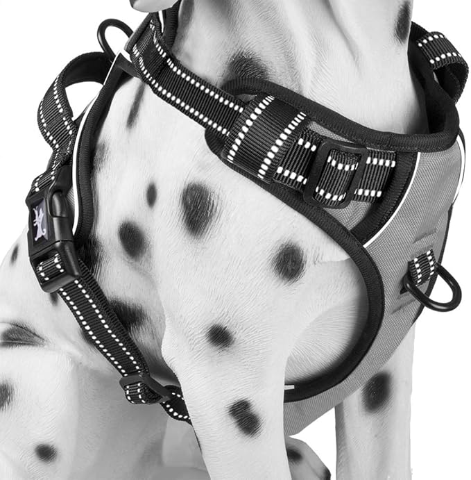 PoyPet No Pull Dog Harness, Reflective Comfortable Vest Harness with Front & Back 2 Leash Attachments and Easy Control Handle Adjustable Soft Padded Pet Vest for Small to Large Dogs (Gray,S)-Mewly Pet