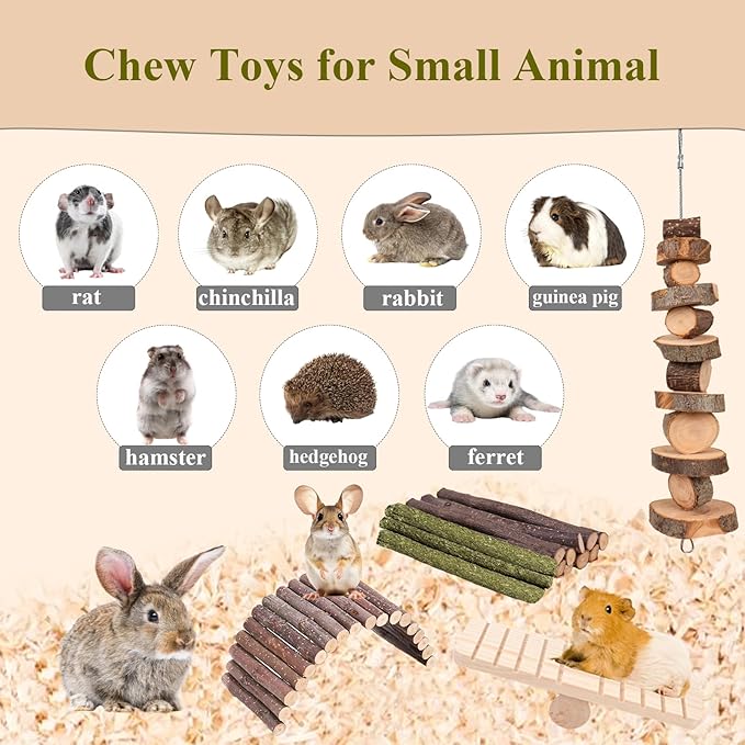 Grddaef Hamster Toys, Guinea Pig Chew Toys Small Animal Enrichment Toys Cage Accessories for Chinchilla Gerbils Rats Bunny Mouse-Mewly Pet