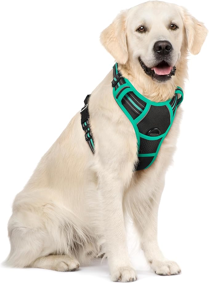 rabbitgoo Dog Harness No Pull with 2 Leash Clips, Adjustable Soft Padded, Reflective Oxford No Choke Pet Vest with Easy Control Handle for Large Dogs, Black & Turquoise, XL-Mewly Pet