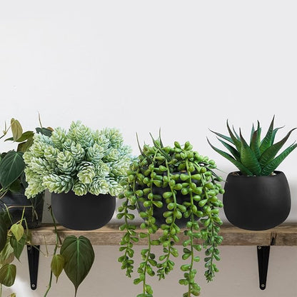 Winlyn Set of 3 Artificial Succulent Plants in Black Concrete Pots Faux Aloe Hops String of Pearls Potted Plants Small Fake Plants Desk Plants for Home Office Desk Kitchen Bathroom Shelf Windowsill