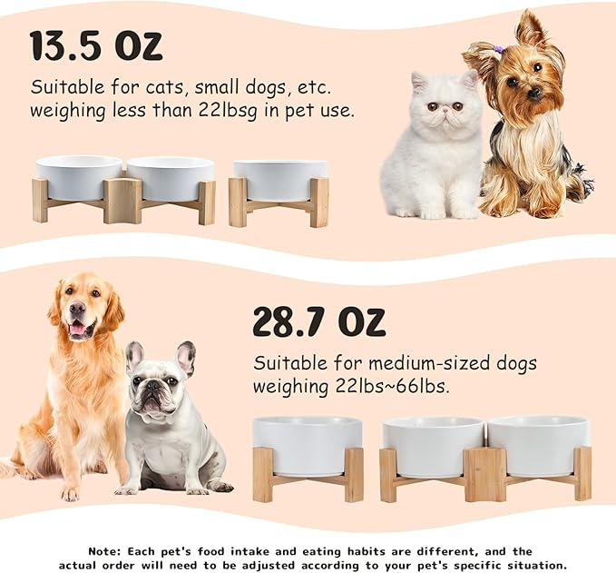 SPUNKYJUNKY 15° Slanted Ceramic Dog and Cat Bowl with Wooden Stand, Tilted Bulldog Food and Water Bowl No Slip Non-Spill for Cats Medium Dogs Big Face Pets 13.5 OZ (1.7 Cups, White × 2)-Mewly Pet
