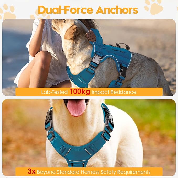 Heavy-Duty Tactical Dog Harness for Large Dogs, No Pull Adjustable Reflective Pet Vest with Molle System, K9 Military-Grade Control for Service Training, Outdoor & 10+ Breeds, Blue, Small-Mewly Pet