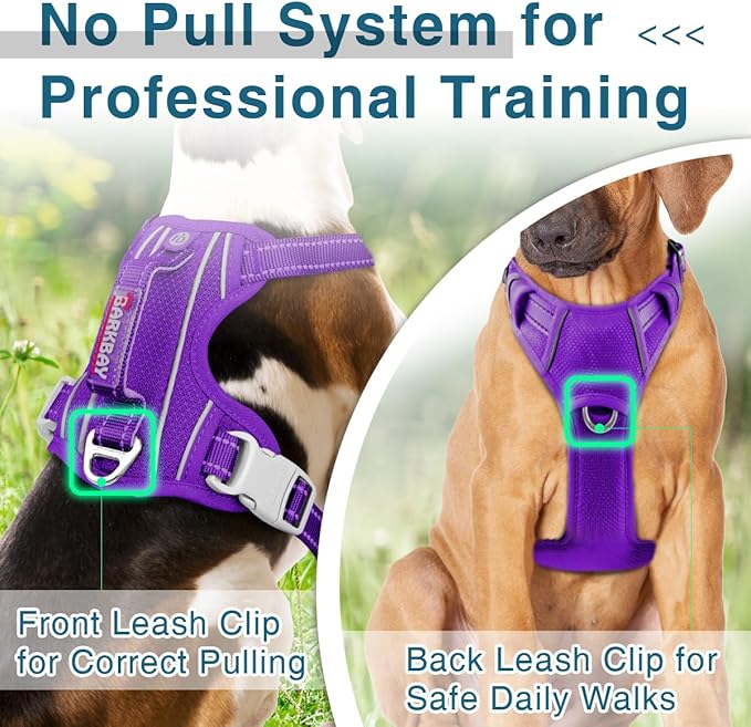 BARKBAY Dog Harness No Pull with ID Tag Pocket - Heavy Duty, Reflective, Easy Control for Large Dogs(Purple,S)-Mewly Pet