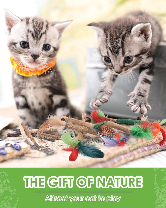 TINDTOP Silvervine Chew Sticks for Cats, 12 Pack Natural Catnip Chew Toys for Kittens Teeth Cleaning, Matatabi Dental Care, Increase Appetite Cat Dental Toy-Mewly Pet