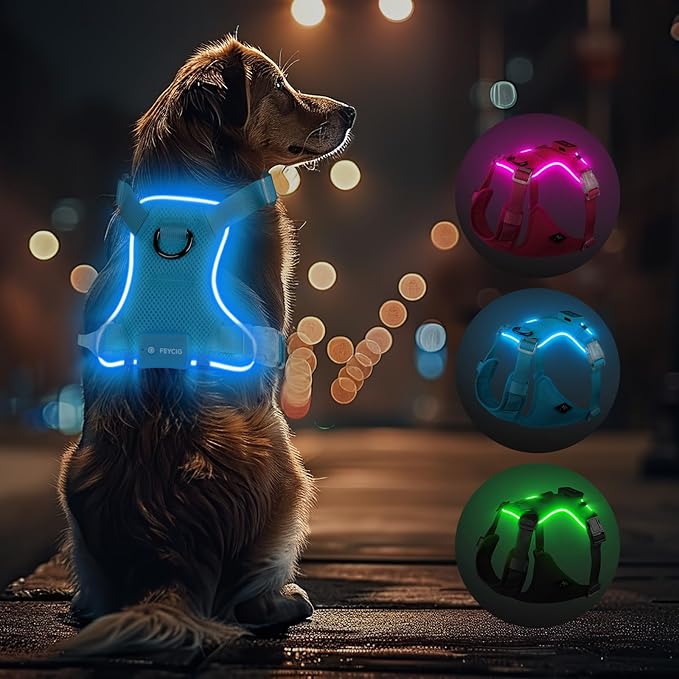 Light Up Dog Harness,Reflective Pet Harness Rechargeable,Led Dog Vest for Night Walking,Adjustable Safety Vest for Small Medium Large Dogs-No Pull,Blue,S-Mewly Pet