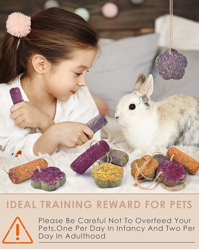 Bissap 12PCS Rabbit Chew Sticks, Hanging Chew Sticks & Cakes Timothy Hay Carrot Strawberry Treat for Bunny Chinchilla Guinea Pig Hamster and Other Small Pets Molar Snack Toy-Mewly Pet