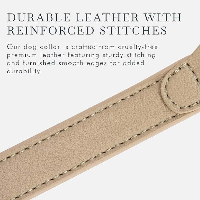 Cupertino Dog Collars, Harnesses & Leashes Made from Vegan Leather with Dog Tracker Device Holder Adjustable Dog Collar (Medium, Beige)-Mewly Pet