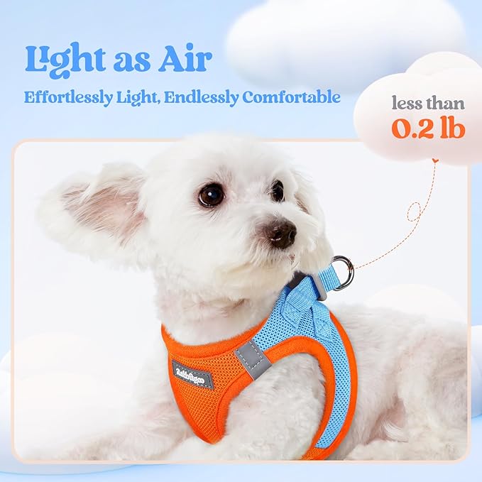 rabbitgoo Dog Harness Medium Sized and Leash Set, Step in Soft Light Puppy Vest, Breathable Mesh Pet Harness, Reflective for Safe Easy Walking, Blue & Orange XXL-Mewly Pet