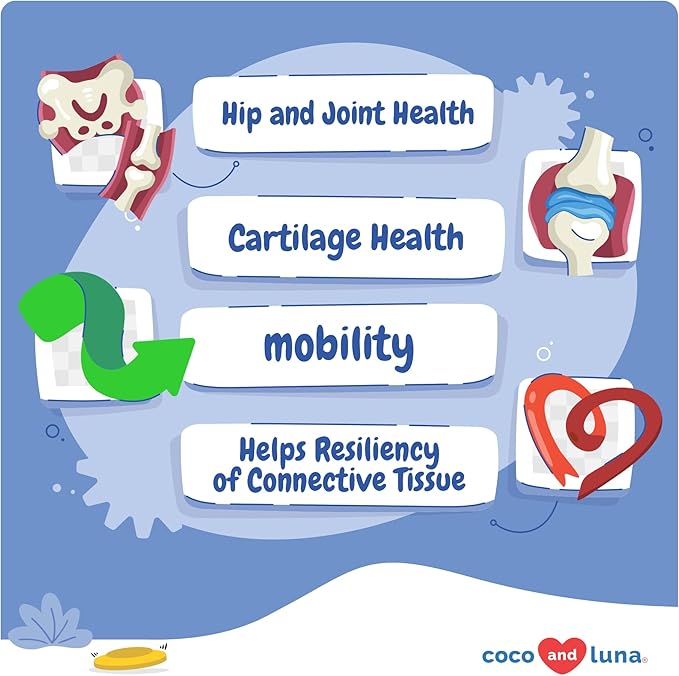 Hemp Hip and Joint Supplement for Dogs - 90 Soft Chews - with Green Lipped Mussel, Glucosamine, Turmeric, Fish Oil, MSM and Yucca Schidigera-Mewly Pet