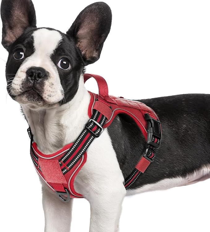rabbitgoo Dog Harness Small Sized No Pull, Tactical Service Pet Vest with Molle and Control Handle, Adjustable and Reflective Military Harness for Easy Walking and Training, Red, S-Mewly Pet