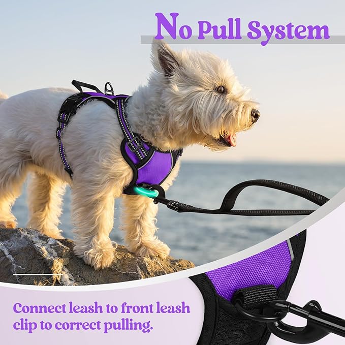 rabbitgoo Dog Harness No Pull with 2 Leash Clips, Adjustable Soft Padded, Reflective Oxford No Choke Pet Vest with Easy Control Handle for Puppy, Purple,XS-Mewly Pet